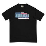 Nebraska, USA Comfort T